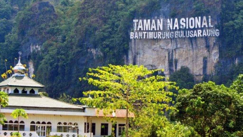 Taman Nasional Bantimurung Wisata Indah Di Kerajaan Kupu Kupu