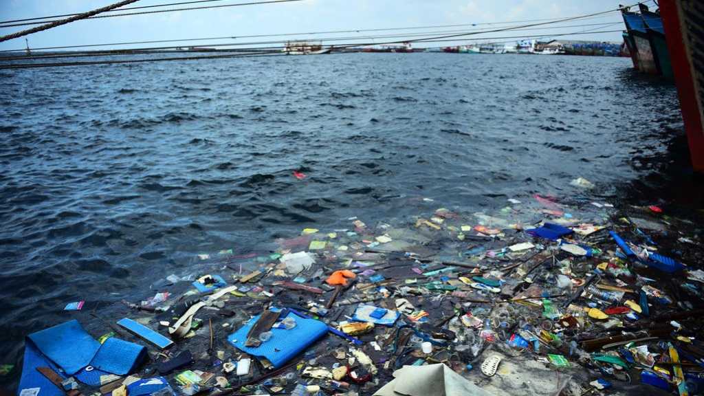  Sampah  Plastik  dari Laut Indonesia  Jadi Wadah Skincare di  