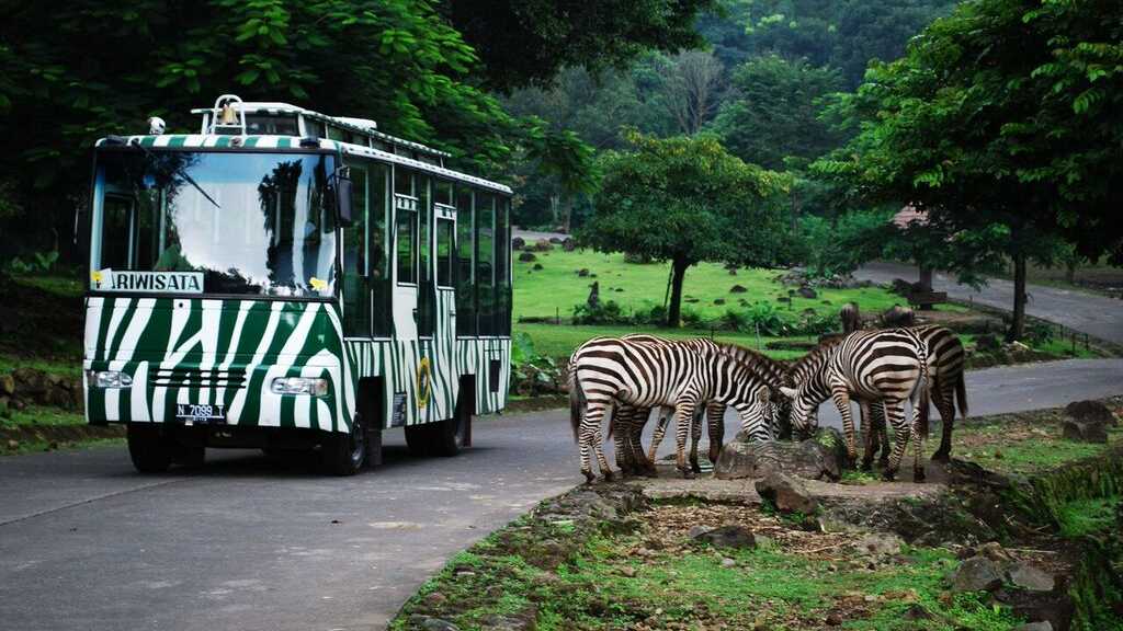 taman safari buka jam berapa